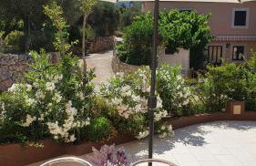 Apartmani Tanja - Foto 33