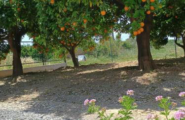 Joanna's House - Foto 21