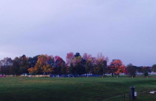 Top Deck Portland Property with Views - Photo 34