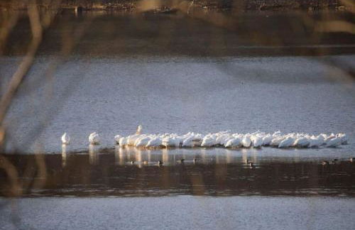 Hickory Haven - Stunning Lake Views - Private Dock - Foto 46