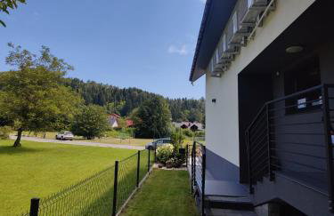 Willa VITA Muszyna - rodzinne apartamenty blisko natury i atrakcji - 15min pieszo do centrum - 15min autem do stoku - Foto 46