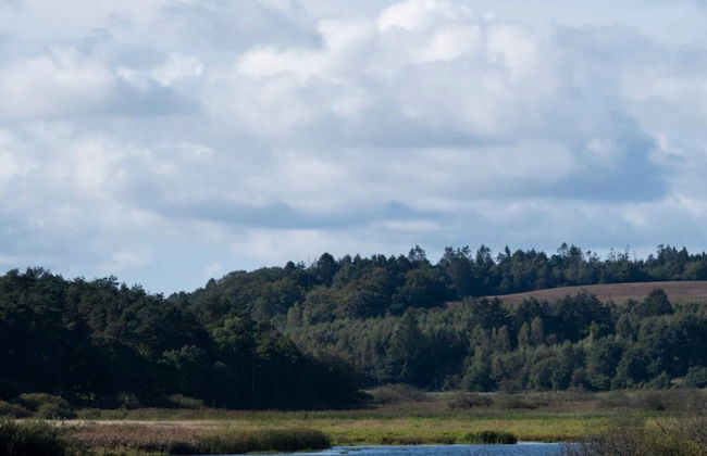 6 Person Holiday Home in Silkeborg - Foto 13