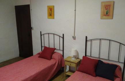 Alojamiento Rural - Finca Santa Margarita - Foto 15