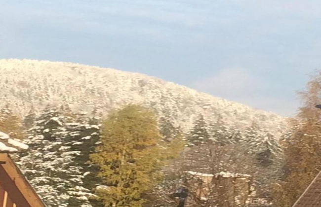 Luxurioser Wellnessaufenthalt in Elend - Foto 32