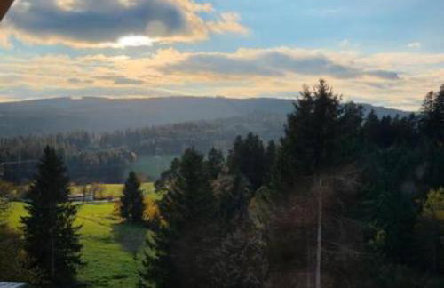 Schwarzwaldblick Rothaus - Photo 33