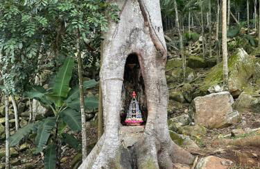 Casas de Vidro - Hospedar com Propósito - Foto 100