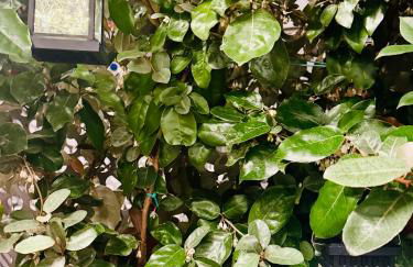 Mood's Home BLQ - Photo 12