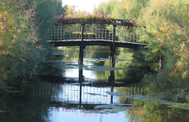 Agriturismo La Barena - Foto 52