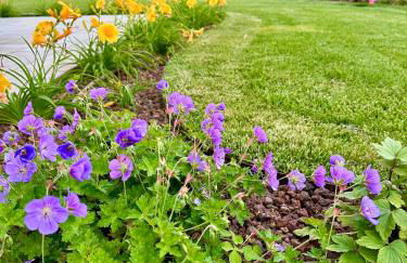 Appartamento a Quarto D Altino - La Rosa del Sile - Foto 29