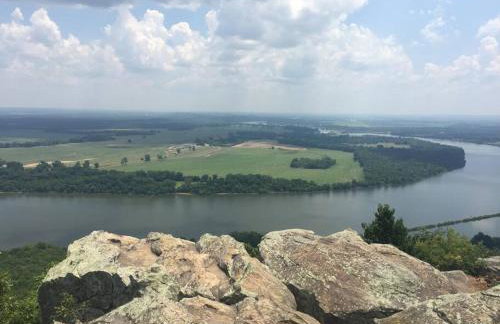 Paw Paw Tree Estate - Foto 19