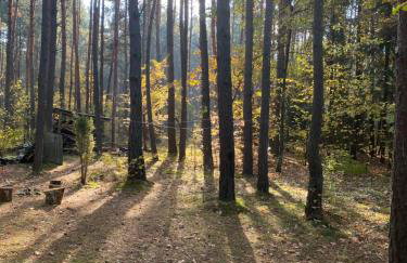 Przytulny domek w lesie blisko rzeki - Foto 15