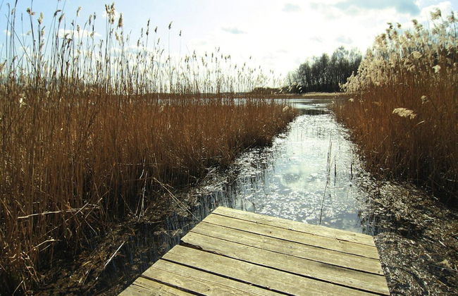 Ferienwohnung, Lohmen - Photo 12