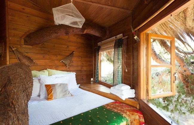 Stunning Treehouse 10 Mins From Sandy Beaches - Foto 1