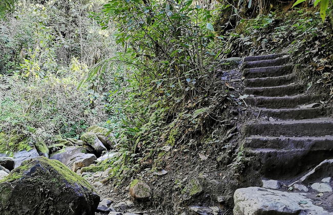 Casa Tien - Photo 72