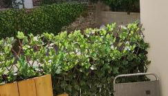 LES VAGUES, terrasse rez-de-ch, parking gratuit, lits faits, animal bienvenu et tout à pied - Foto 5