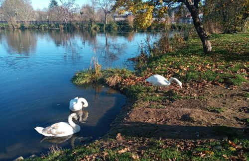 Wohnung am Schwimmteich - Foto 13