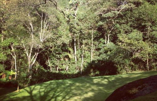 Reserva Atibaia / Casa de Montanha - Photo 21