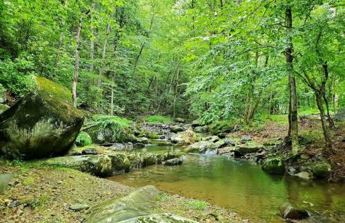 Zen River Retreat - Foto 15