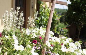 Tauber Lodge - Foto 31