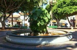 Cozy Studio Harbour View in Puerto de la Cruz - Foto 13