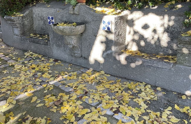 Casa Velha - Santiago Family House - Foto 31