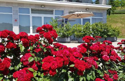 Apartmani Sanja - Foto 33
