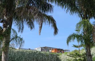 MARGIE'S HOUSE - Foto 40