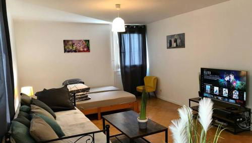 Appart T2 spacieux proche Gare TGV - Foto 2