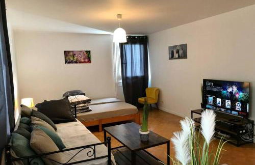 Appart T2 spacieux proche Gare TGV - Foto 2