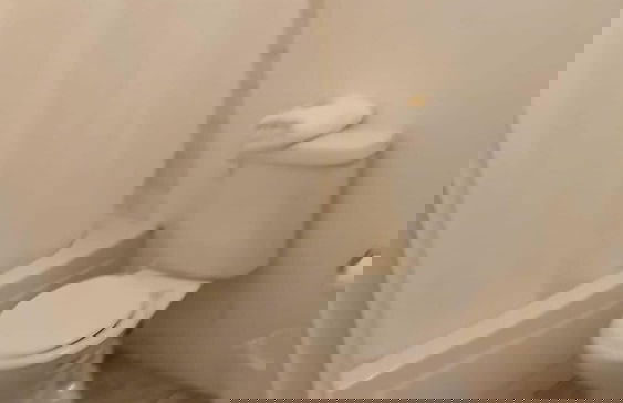 Gladiolas 1104 - Foto 9