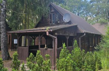 Dom z linią brzegową Narwi 2 - Photo 8