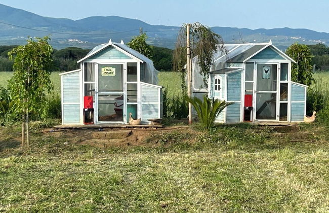 Fattoria Palazzeta Pet & Family Friendly - Foto 58