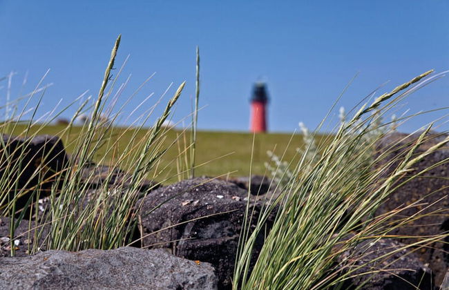 Ferienwohnung im Reetdachhaus auf der Pellworm - Foto 10