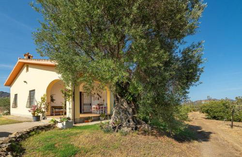 Villa Oliveto - Foto 1