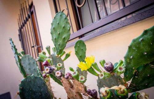 Giuseppe Verdi Luxury Apartments Catania Centro - Foto 52