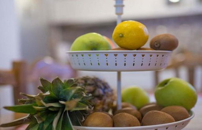 Holiday&wellness house Grofica - Foto 9