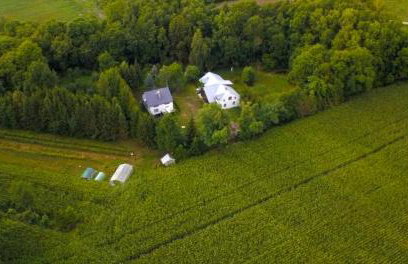 Agroturystyka przy Pracowni Malarstwa i Rzeźby - Foto 28