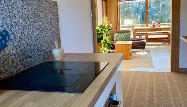 Apartment Chamonix Brise du Mont - Photo 5