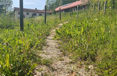 Sunhill Appartments, klimatisiert - Foto 42