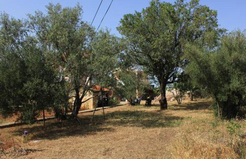 Apartments by the sea Sutomiscica, Ugljan - 912 - Photo 9