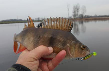 Dom wakacyjny Danielsja - Foto 45