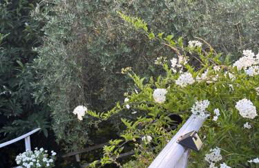 Case Vacanze Giovanni Garibaldi - Foto 70