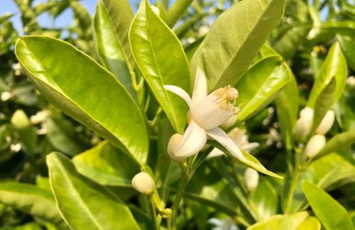 La casetta di Giò - Foto 11