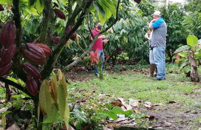 Tour del cioccolato a Guápiles - Foto 2
