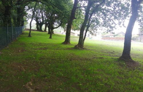 Landras de Compostela - Photo 38