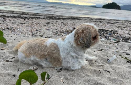 Flat Boa Vista Beach - Foto 21