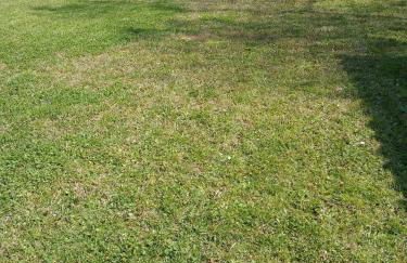 GITE HISTOIRE DE FAMILLE - Foto 25