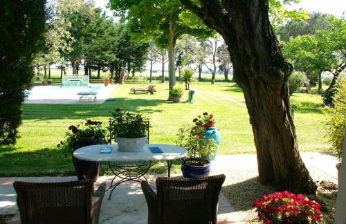 Mas Antonine, Grenouille - Foto 16