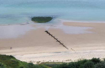 The cabin with the view - Photo 8