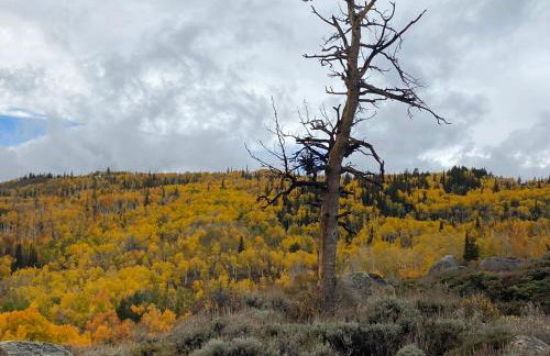 Red-tail Roundhouse at 22 West Cabins and Recreation - Foto 68